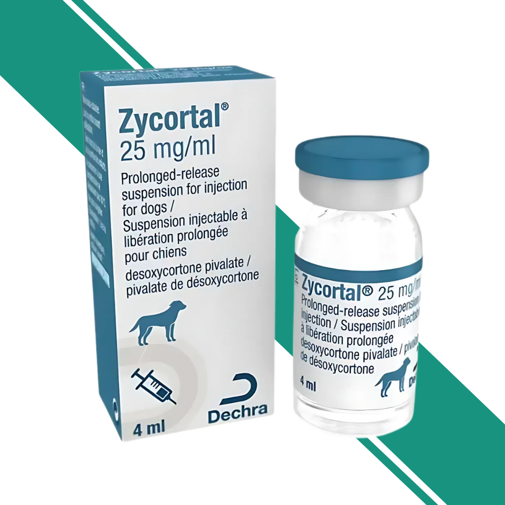 Zycortal 25mg/ml Suspension Injection for Dogs 4ml Vial